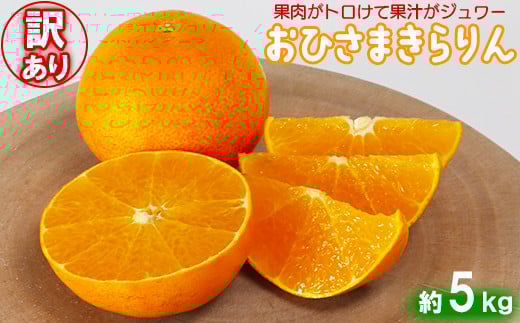 【訳あり・優品】今村農園の「おひさまきらりん 約5kg」 甘い オレンジ みかん ミカン 清美 12月発送 1月発送 先行予約 5kg わけあり 柑橘類 フルーツ <107-020_7>大分県杵築市25000果物・フル