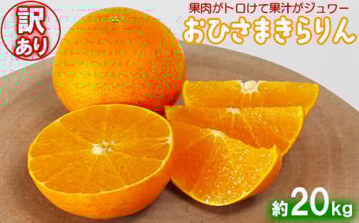 【訳あり・優品】今村農園の「おひさまきらりん 約20kg」 甘い オレンジ みかん ミカン 清美 12月発送 1月発送 先行予約 10kg わけあり 柑橘類 フルーツ <107-022_7>大分県杵築市100000果物・フ