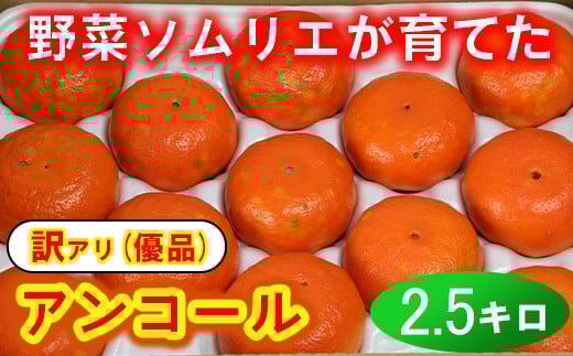 【訳あり・優品】野菜ソムリエ石児さんの「アンコール 2.5kg」 ミカン みかん 蜜柑 柑橘 訳あり 甘い 柑橘類 アンコール アンコールオレンジ フルーツ 先行予約 <103-018>大分県杵築市10000果