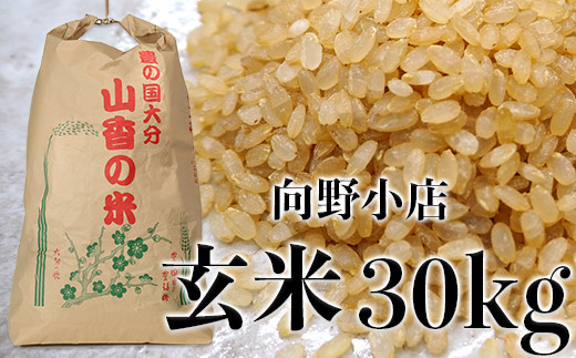 杵築市山香町 向野小店の思いやり米30kg(玄米) 米 玄米 30kg <055-004_6>大分県杵築市55000米・パン玄米・雑穀米・もち米・餅