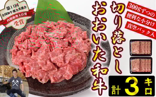 おおいた和牛切り落とし3kg(300g×10p) ※真空パック 【匠牧場】 牛肉 切り落とし すき焼き 牛 小分け 和牛 おすすめ 国産 おおいた和牛 おおいた和牛 バーベキュー 生産者応援の品 スピード