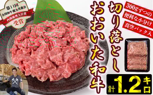 おおいた和牛切り落とし1.2kg(300g×4p) ※真空パック 【匠牧場】 牛肉 切り落とし すき焼き 牛 小分け 和牛 おすすめ 国産 おおいた和牛 バーベキュー 生産者応援の品 スピード発送 スピー