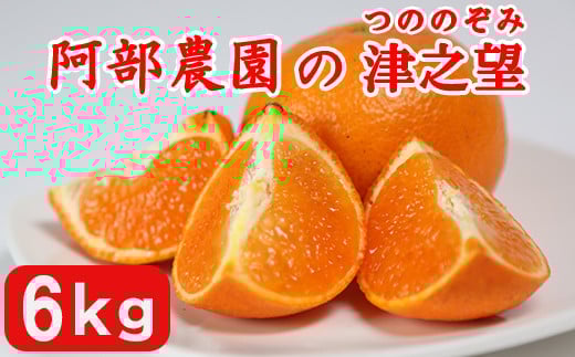 阿部農園の「津之望(つののぞみ) 約6kg」 / ミカン みかん 蜜柑 柑橘類 1月 津之望 先行予約 数量限定 フルーツ <112-011>大分県杵築市13000果物・フルーツみかん・柑橘類