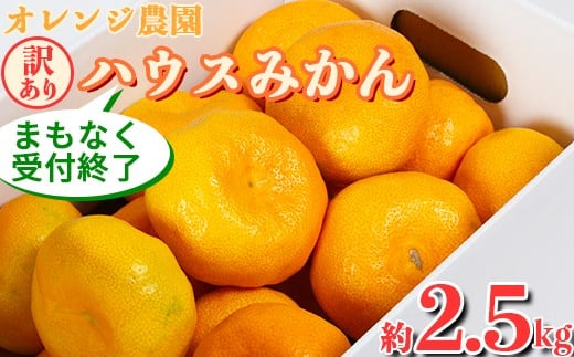 安い！！ 摘果マンゴー 9キロ サントリー 196無糖マンゴー＆オレンジALC．7％R