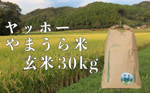 山浦地区まちづくり推進協議会のヤッホーやまうら米 30kg(玄米) 米 玄米 新米 <078-004>大分県杵築市61000米・パン玄米・雑穀米・もち米・餅