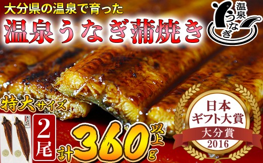 【配送日指定可能】温泉うなぎ蒲焼 2尾(180gサイズ) 国産うなぎ 人気 国産 蒲焼 蒲焼き かば焼き 鰻屋 個包装 冷凍 真空 ギフト <104-015_5>大分県杵築市29000魚介・海産物うなぎ