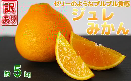 【訳あり品】岩尾農園のジュレみかん 約5kg 先行予約 柑橘類 みかん <066-001>大分県杵築市15000果物・フルーツみかん・柑橘類