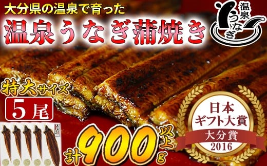【配送日指定可能】温泉うなぎ蒲焼 5尾(180gサイズ) 国産うなぎ 人気 国産 蒲焼 蒲焼き かば焼き 鰻屋 個包装 冷凍 真空 ギフト <104-017_5>大分県杵築市71000魚介・海産物うなぎ