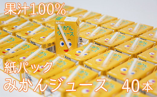 果汁100% 紙パック みかんジュース 125ml×40本<131-010>大分県杵築市13000お茶・飲料果汁・野菜飲料