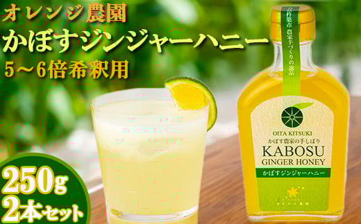 オレンジ農園のかぼすジンジャーハニー 2本セット<108-002>大分県杵築市10000お茶・飲料果汁・野菜飲料
