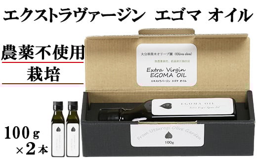 エゴマオイル(EGOMA OIL) 100g×2本セット 無農薬栽培 えごま油 国産 低温直圧搾油法 大分県産 <143-006_5>大分県杵築市20000調味料・油食用油