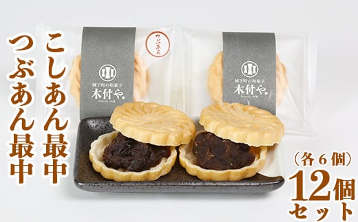 Œ [ԂE e6] v12Zbgyaَq ؕtz 117-006_5啪nzs10000َqEXC[c̑ aَq