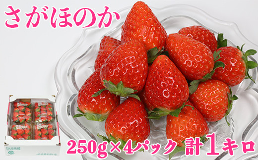 [2]ق̂ 1kgi250g×4pbNj^  C`S 1kg s\ 2 t[c  133-212啪nzs11000ʕEt[c