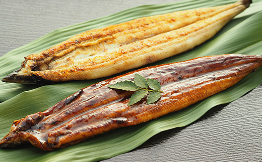 򂤂ȂāE e1iv350gj YȂ104-021_5啪nzs29000ECYȂ