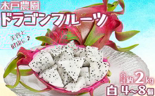 木戸農園のドラゴンフルーツ 計約2kg(白4~8個) 先行予約 果物 フルーツ <113-008>大分県杵築市11000果物・フルーツその他 果物・フルーツ