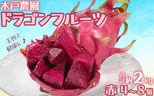 木戸農園のドラゴンフルーツ 計約2kg (赤4~8個) 先行予約 果物 フルーツ <113-007>大分県杵築市11000果物・フルーツその他 果物・フルーツ