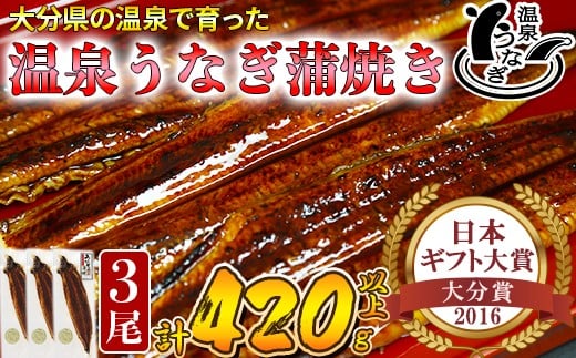 【配送日指定可能】温泉うなぎ蒲焼 3尾(140gサイズ) 国産うなぎ 人気 国産 蒲焼 蒲焼き かば焼き 鰻屋 個包装 冷凍 真空 ギフト <104-008_5>大分県杵築市34000魚介・海産物うなぎ