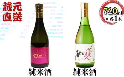 ちえびじん純米酒+智恵美人純米酒 飲み比べセット【中野酒造】 人気 ギフト 贈答 <110-017>大分県杵築市18000酒・アルコール日本酒
