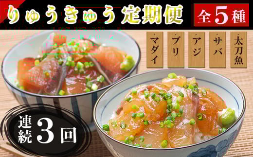 [11Jn]ցES3(A)啪yイイS5(^ Ԃ L゠ Lコ )e1H3񂨓͂I(5×1H×3) hg Ⓚ Zbg CN Ђ Yn 啪 ^