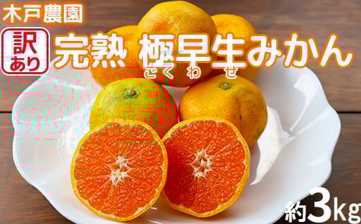 【訳あり品】完熟極早生みかん!木戸農園の「おおいた早生 約3kg」 ミカン みかん 柑橘 3kg 先行予約 10月 11月 フルーツ 温州 年内発送 <113-013>大分県杵築市12000果物・フルーツみかん・柑