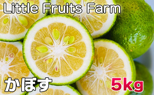 香り抜群!果汁たっぷり!リトルフルーツファームのかぼす 約5kg / 柑橘類 果物 フルーツ 9月 10月 11月 12月 <116-002>大分県杵築市15000果物・フルーツみかん・柑橘類