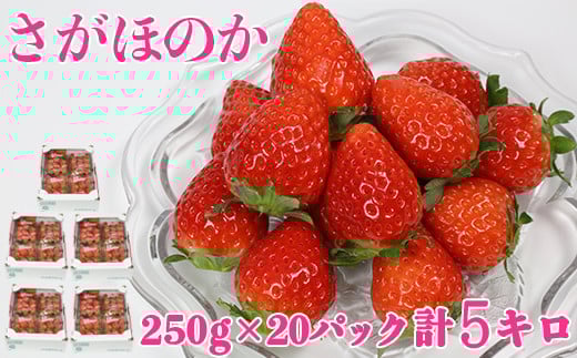 [1]ق̂ 5kgi250g×20pbNj^  C`S 5kg s\ 1 t[c  133-251啪nzs55000ʕEt[c