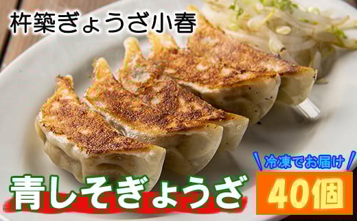 杵築ぎょうざ小春の青しそぎょうざ 40個 冷凍 餃子 人気 国産 ぎょうざ ギョーザ <152-002_5>大分県杵築市10000鍋セット・総菜・加工食品総菜