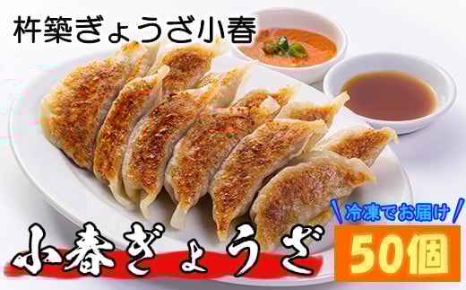 杵築ぎょうざ小春の小春ぎょうざ(スタンダード) 50個 冷凍 餃子 人気 国産 ぎょうざ ギョーザ <152-001_5>大分県杵築市10000鍋セット・総菜・加工食品総菜