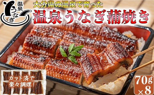 【配送日指定可能】完全無投薬養殖!大分水産の温泉うなぎ蒲焼(カット)70g×8 国産 蒲焼 蒲焼き かば焼き 鰻屋 個包装 冷凍 真空 ギフト <104-004_5>大分県杵築市46000魚介・海産物うなぎ