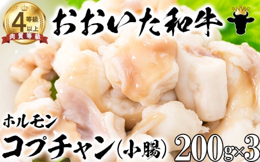 おおいた和牛ホルモン(コプチャン 200g×3)【ニード牧場】 国産 焼肉用 年内発送 <129-018_6>大分県杵築市10000肉牛肉