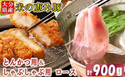 大分県産 米の恵み豚 ロース 計900g(とんかつ用・しゃぶしゃぶ用) 国産 人気 冷凍 豚肉 米の恵み とんかつ しゃぶしゃぶ スライス ロース <130-017_6>大分県杵築市9000肉豚肉