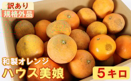 【訳あり・規格外品】ハウス美娘 約5kg(バラ詰め) / ミカン みかん 蜜柑 柑橘類 訳あり 美娘 オレンジ 5kg 甘い フルーツ <132-019>大分県杵築市20000果物・フルーツみかん・柑橘類