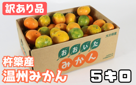 【訳あり品】杵築産 温州みかん 5kg / ミカン みかん 蜜柑 柑橘類 訳あり 5kg 温州みかん フルーツ <132-016>大分県杵築市10000果物・フルーツみかん・柑橘類