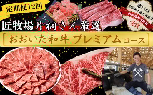 [11Jn]12ցq Ћ˂񌵑Iyav~AR[Xz  a  12 12  Y  102-831啪nzs600000