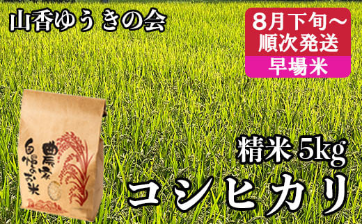 【 令和7年産 新米 】山香ゆうきの会の米 5kg(精米:コシヒカリ) 新米 5kg 米 早場米 8月 9月 <002-021>大分県杵築市16000米・パン白米