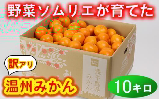 【訳あり・規格外品】野菜ソムリエ石児さんの「温州みかん 10kg」 ミカン みかん 蜜柑 柑橘 10kg 柑橘類 訳あり 甘い 温州みかん フルーツ <103-005>大分県杵築市14000果物・フルーツみかん・