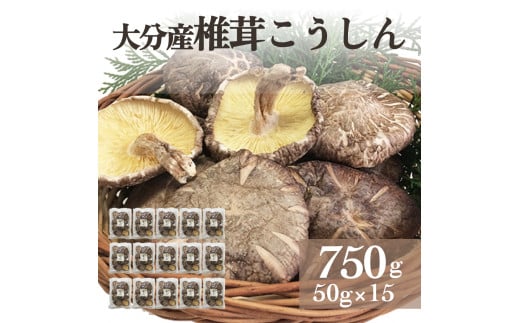啪Yő 750gi50g×15܁j 啪  ő   ؂ N ߂  [ aH  | Z ۑ  iێ  V{