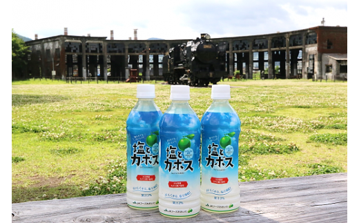 大分県産かぼすを使った「塩とカボス」 かぼす カボスドリンク 大分 かぼす果汁 塩 熱中症対策 夏 水分補給 塩分補給 冷やす さっぱり 凍らせる 香り フレッシュ フルーツ 味わい 飲み物 ド