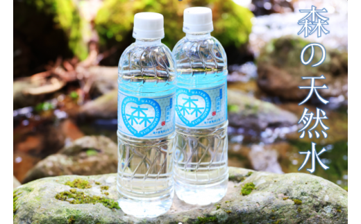 森の天然水 525ml×24本 天然水 水 飲料水 軟水 ミネラル 美容 備蓄 防災 ケイ素 シリカ 大分県 玖珠町 天然水 ミネラルウォーター ナチュラルウォーター 森 涼しい 水分補給 健康 道の駅 童話