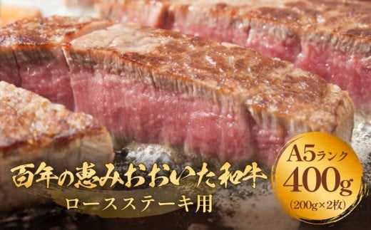 uSŇb a vA5 [XXe[Lp 200g×Q a A5 јa [X Xe[L 啪   ~   Ԑg啪쒬20000