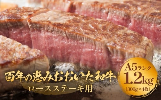 「百年の恵み おおいた和牛 」A5 ロースステーキ用 300g×4枚 おおいた和牛 黒毛和牛 A5 ロースステーキ 和牛 牛肉 霜降り 大分 ステーキ 冷凍大分県玖珠町60000肉牛肉