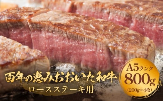 「百年の恵み おおいた和牛 」A5 ロースステーキ用 200g×4枚 おおいた和牛 黒毛和牛 大分産 ロースステーキ 焼肉 霜降り肉 高級牛肉 和牛ブランド ステーキ用 牛肉ブランド 赤身大分県玖珠