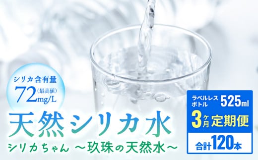 【定期便】天然シリカ天然水 525ml × 40本 3ヶ月【 シリカちゃん〜玖珠の天然水〜 】 天然水 シリカ 水 シリカ天然水 常温保存 長期保存 天然 国産 天然水 ミネラルウォーター シリカ 軟水 健