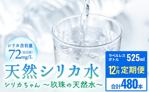 [ 12] VR VJ  525ml × 40{ VJ`̓VR` xX VR VJ ~lEH[^[ Y SDGs啪쒬84000EE~lEH[^[