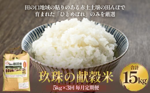 令和7年度新米 玖珠の献穀米 5kg × 3回 毎月定期便 米 ひとめぼれ 大分県 玖珠町 こめ お米 白米  新米大分県玖珠町48000米・パン白米