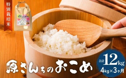 令和7年度産 原さんちのお米 4kg ヒノヒカリ 3回定期便 特別栽培米 原農園 有機栽培 化学肥料不使用 アートテン農法 抗酸化農法 完熟堆肥 有効微生物農法 産直 お米 栄養価 体に良い おいし