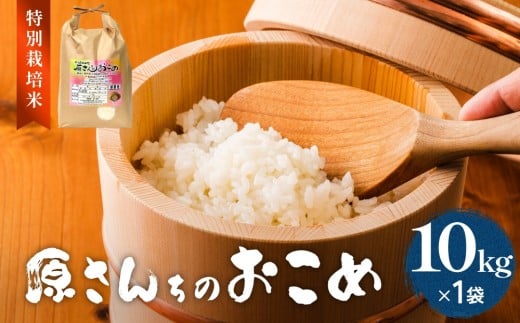令和7年度産 原さんちのお米 10kg ヒノヒカリ 特別栽培米 原農園 有機栽培 化学肥料不使用 アートテン農法 抗酸化農法 完熟堆肥 有効微生物農法 産直 お米 栄養価 体に良い おいしい 安心 田