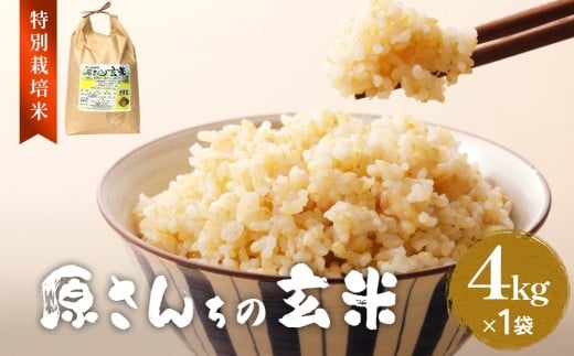令和7年度産 原さんちの玄米 玄米 4kg ヒノヒカリ 有機質肥料 特別栽培米 原農園 完熟堆肥 アートテン農法 抗酸化農法 有効微生物農法 光合成 体に良い 美味しい お米 安全 清潔 環境に優し