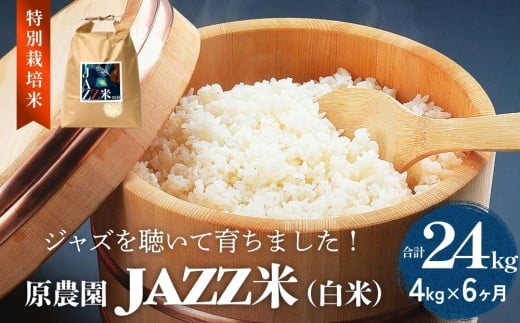 令和7年度産 原農園 JAZZ米 白米4kg  にこまる 6回定期便 JAZZ 有機栽培 特別栽培米 堆肥 光合成細菌 有効微生物 アートテン農法 抗酸化農法 有効微生物農法 きりかぶ山 地力 白米 環境 地域特