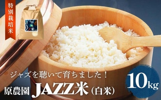 令和7年度産 原農園 JAZZ米 (白米)  10kg にこまる JAZZ 有機栽培 特別栽培米 堆肥 光合成細菌 有効微生物 アートテン農法 抗酸化農法 有効微生物農法 きりかぶ山 地力 白米 環境 地域特産 自然栽